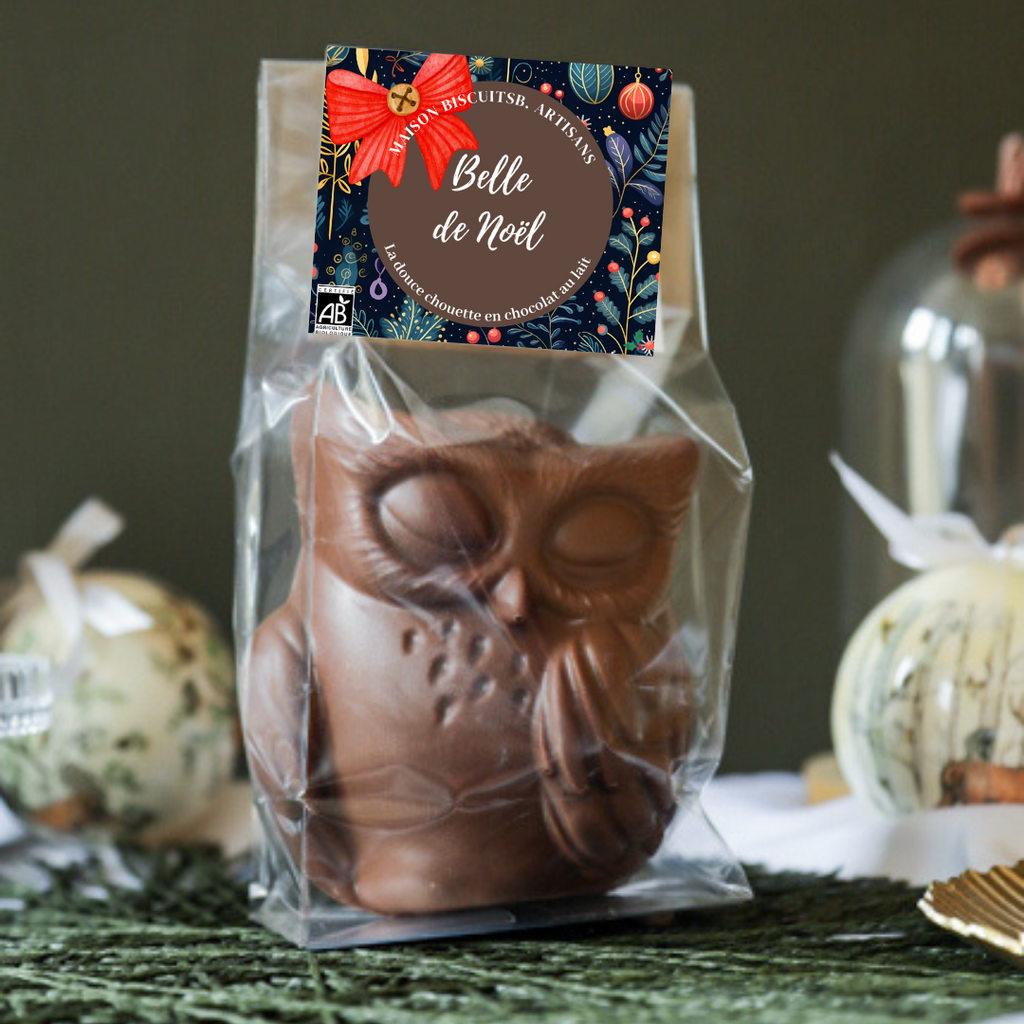 Moulage Chouette de Noël au chocolat au lait bio